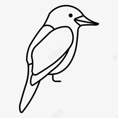 笑翠鸟动物澳大利亚图标