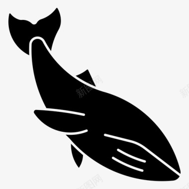 蓝鲸座头鲸海洋图标