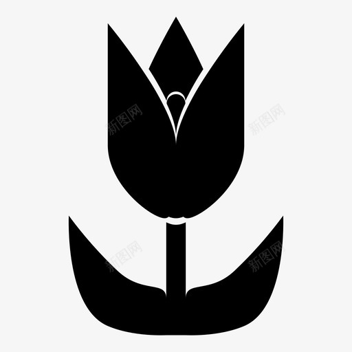 玫瑰花焦点svg_新图网 https://ixintu.com 玫瑰花 焦点 图像 图片 摄影 视频