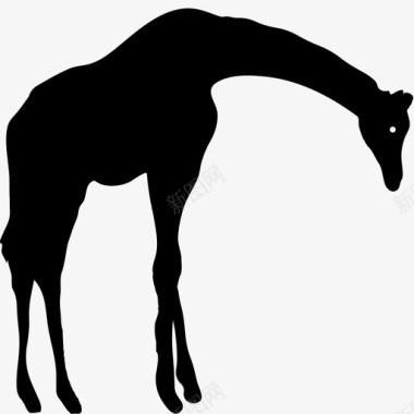 长颈鹿动物王国图标