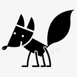 四条分支的PPT狐狸野生动物尾巴高清图片