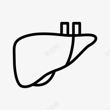 肝脏解剖学肝病学图标