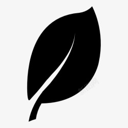 叶子Green素材