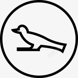 鸟的象形文字象形文字鸟埃及文化高清图片