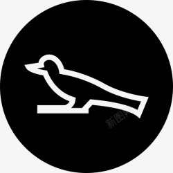 鸟的象形文字象形文字鸟埃及文化高清图片