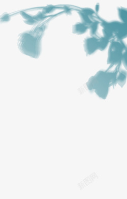 玫瑰影子玫瑰花影子高清图片