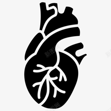 人体心脏解剖学主动脉图标