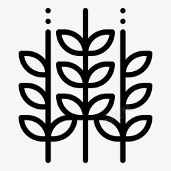 啤酒大米小麦节日德国高清图片