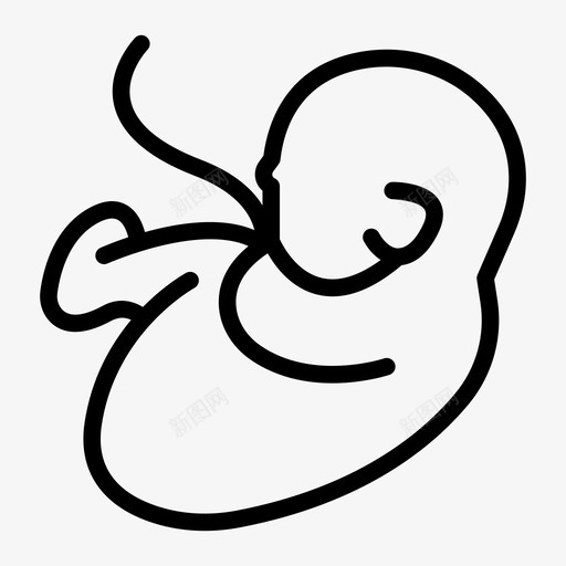 怀孕胚胎胎儿svg_新图网 https://ixintu.com 怀孕 胚胎 胎儿 保险