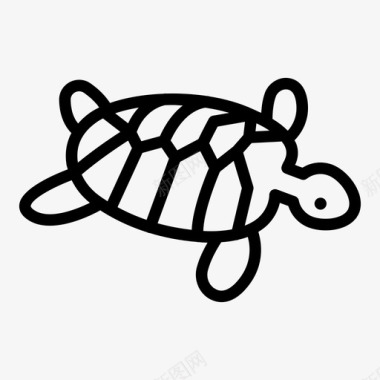 海龟动物乌龟图标