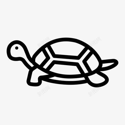 龟海慢svg_新图网 https://ixintu.com 龟海 慢龟 海鲜