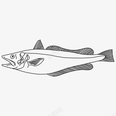 鳕鱼动物鱼图标