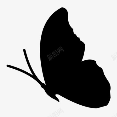蝴蝶彩色昆虫图标