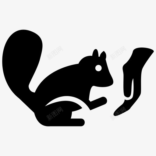 松鼠动物自然svg_新图网 https://ixintu.com 松鼠 动物 自然 野生 野生动物