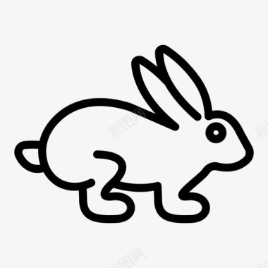 兔子动物宠物兽医图标