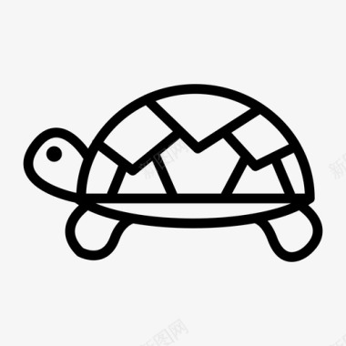 乌龟海洋爬行动物图标