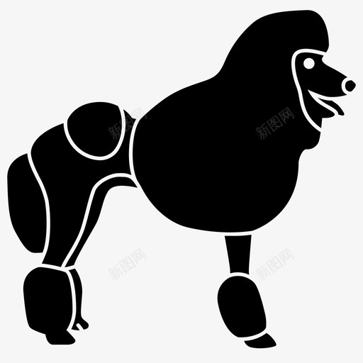 贵宾犬动物狗svg_新图网 https://ixintu.com 贵宾 动物 狗梳 理过 时髦