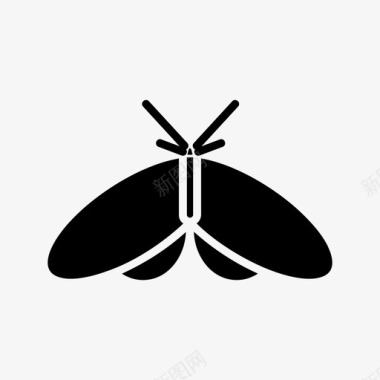 蛾动物昆虫学图标