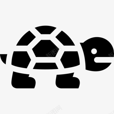 乌龟动物慢图标