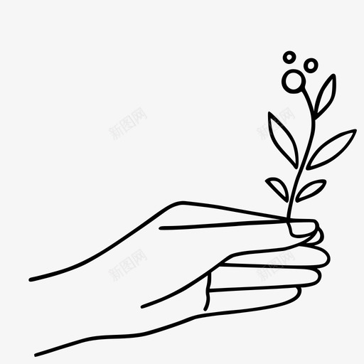 捧花手指植物svg_新图网 https://ixintu.com 捧花 手指 植物 浪漫 女人 人手 手线