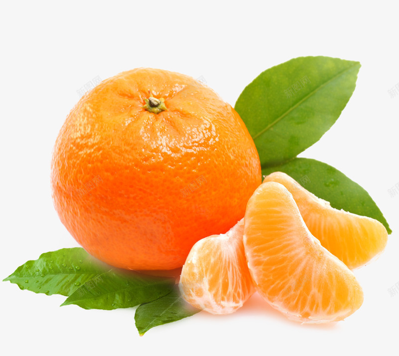 桔子橘子柑橘png免抠素材_新图网 https://ixintu.com 桔子 橘子 柑橘