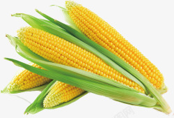 玉米5素材