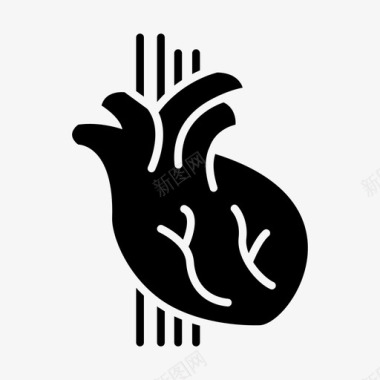 心脏病学解剖学心血管图标