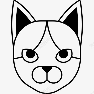 日本短尾猫品种宠物图标