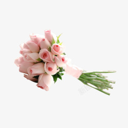 母亲节三八妇女节女王节花朵粉色玫瑰花素材