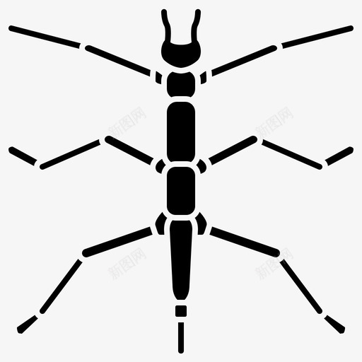 蓟马虫子昆虫svg_新图网 https://ixintu.com 昆虫 蓟马 虫子 害虫 缨翅 雕文