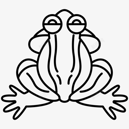 两栖类非洲牛蛙svg_新图网 https://ixintu.com 两栖类 非洲 牛蛙 肉食性 精灵