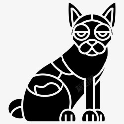 短尾猫猫短尾花布高清图片