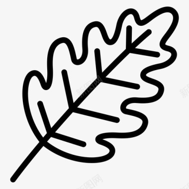 橡树叶自然植物图标