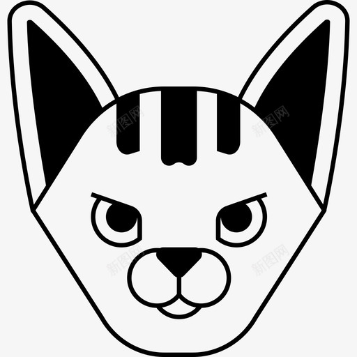 阿比西尼亚猫品种小猫svg_新图网 https://ixintu.com 比西 尼亚 品种 阿比 猫阿 小猫 宠物 野生 猫咪