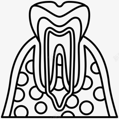 牙齿解剖学牙科图标