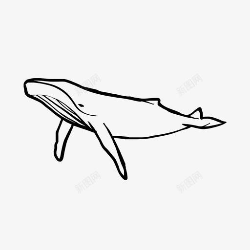 绘制鲸鱼海洋虎鲸svg_新图网 https://ixintu.com 绘制 鲸鱼 海洋 虎鲸 海洋生物 手工