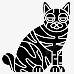 美国短尾猫猫美国短尾猫高清图片