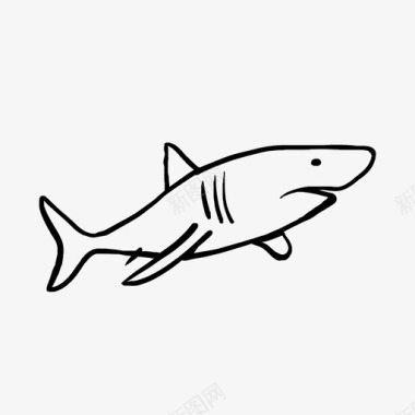 画鲨鱼海洋捕食者图标