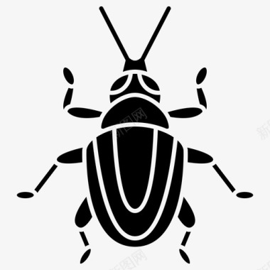 甲虫鞘翅目昆虫学图标