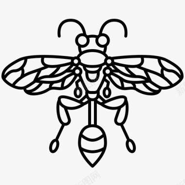 黄蜂蜜蜂刺图标