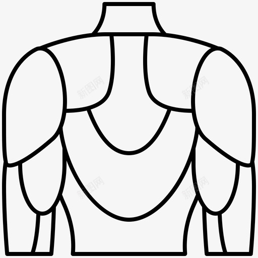 肌肉背部身体svg_新图网 https://ixintu.com 背部 人体 肌肉 身体 器官