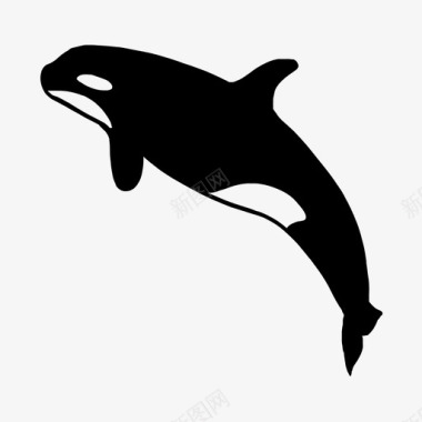 绘制虎鲸杀手海洋图标