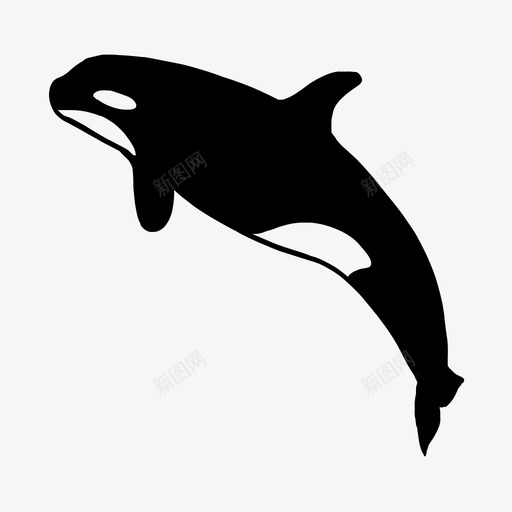 绘制虎鲸杀手海洋svg_新图网 https://ixintu.com 绘制 虎鲸 杀手 海洋 鱼类 类和 海洋生物 手工