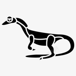 兽脚亚目食肉恐龙恐龙腔体古生物学高清图片