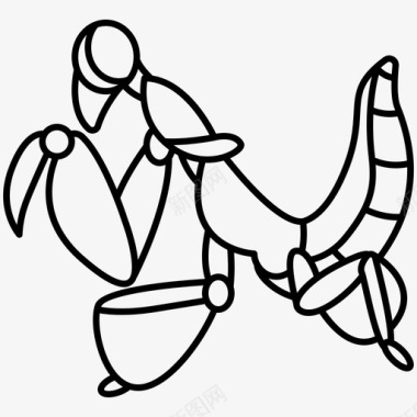 螳螂节肢动物动物群图标