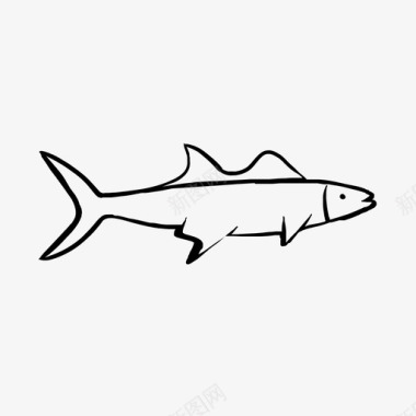 采购产品画鱼画鱼海洋图标