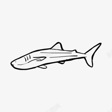 绘制鲸鲨海洋虎鲸图标