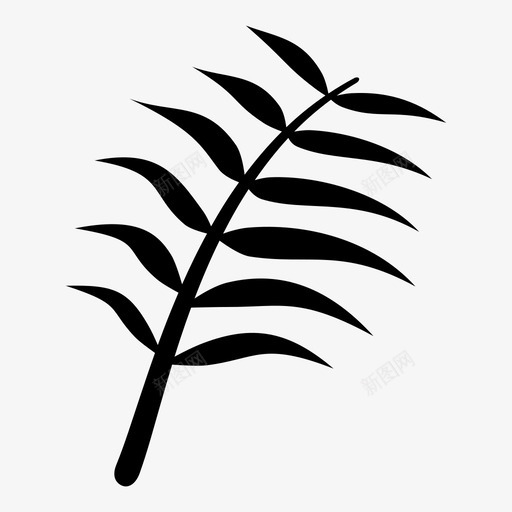 棕榈叶自然植物svg_新图网 https://ixintu.com 棕榈 叶棕榈 叶自然 自然 植物 树叶 雕文
