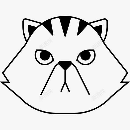 波斯猫品种猫svg_新图网 https://ixintu.com 品种 宠物 波斯猫 波斯猫插画 纯种 野生