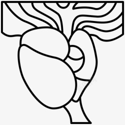 前列腺解剖学腺体图标